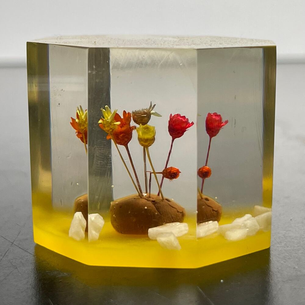 Vtg Lucite Acrylic Paperweight with Dried Straw Flowers 1.5"